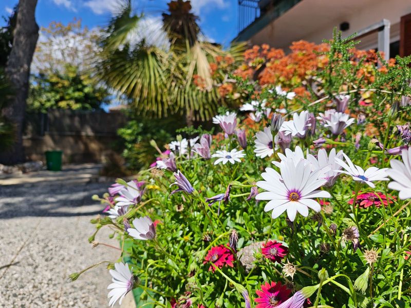 Foto 0dda5afb-b19e-4832-9417-65f65608faa0. Chalet en Bellvei