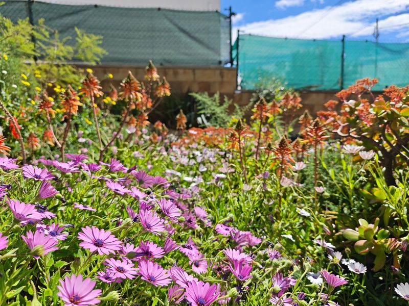 Foto 1745c8e6-de87-4846-bf8c-231fdb17b8e1. Chalet en Bellvei