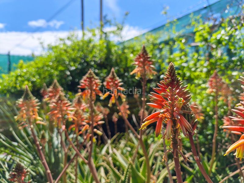 Foto 8bb07d0b-f876-4faa-8d2c-5e96a691e774. Chalet en Bellvei