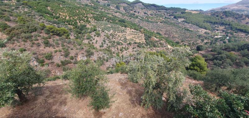 Foto 1e32badd-272e-44c6-905e-795ec21f0fbd. Terreno residenziale in Yunquera