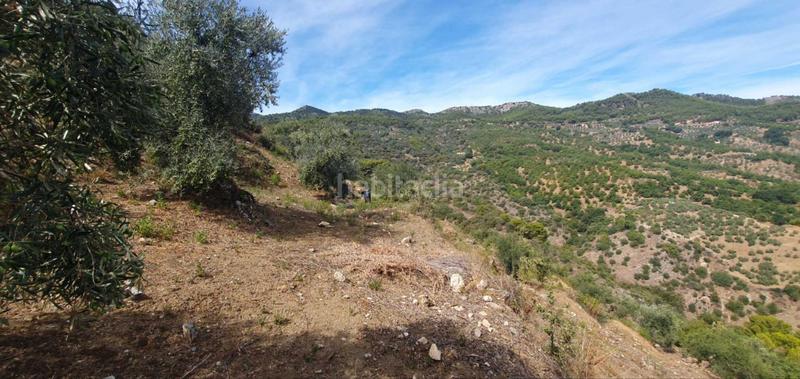 Foto 31347c0b-f620-4ee6-ab62-aeaf49d76a3f. Terreno residenziale in Yunquera