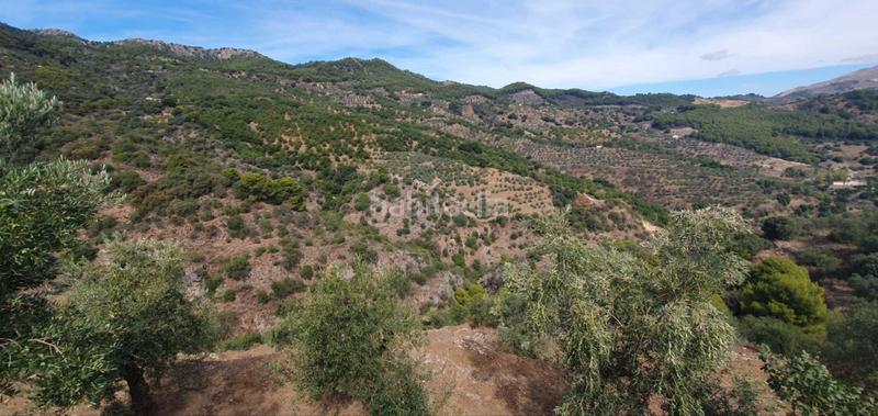 Foto 350d3120-cda5-4479-8548-7fc4d56e75f3. Terreno residenziale in Yunquera