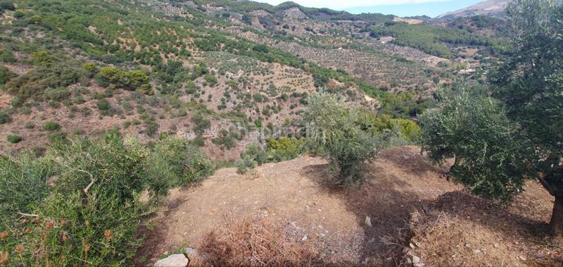 Foto 362b73d5-83cb-4e8a-9a00-7ff260b3f08a. Terreno residenziale in Yunquera