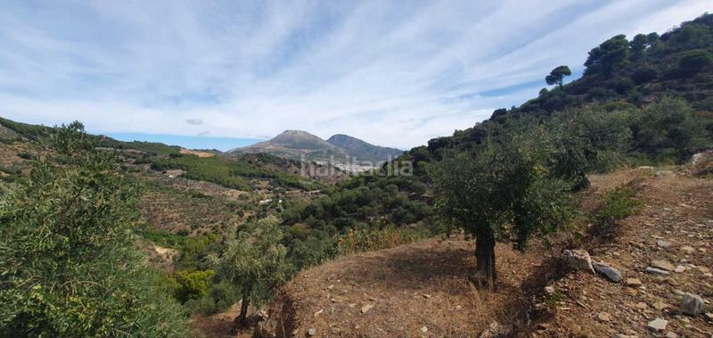 Foto 5f0ea7a6-ac4f-45f1-9a5a-f34bee269a60. Terreno residenziale in Yunquera