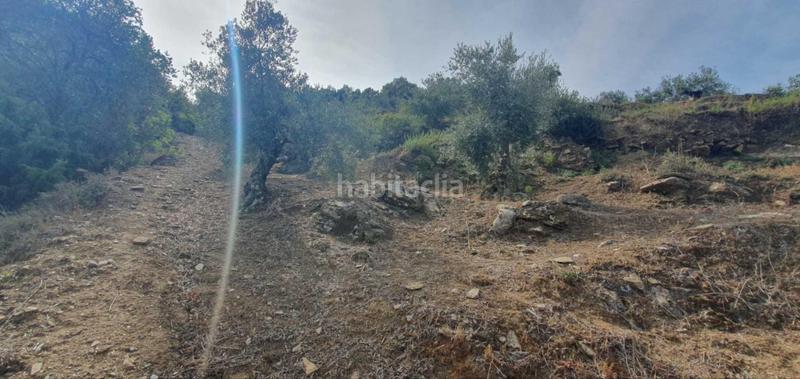 Foto 82f784ec-9bac-4bc1-a98c-3e101c58f135. Terreno residenziale in Yunquera