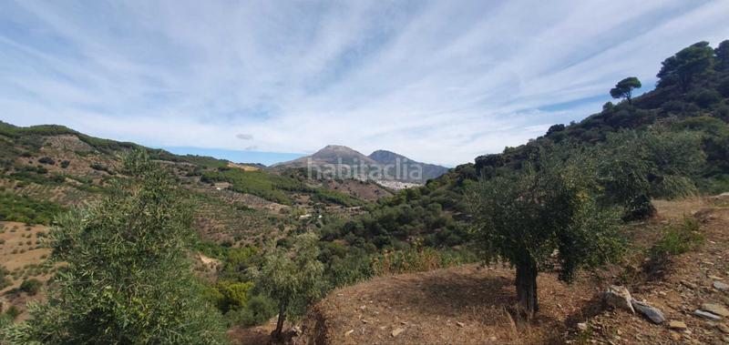 Foto 8dfc2835-2db1-46da-9516-d1e1980e26da. Terreno residenziale in Yunquera