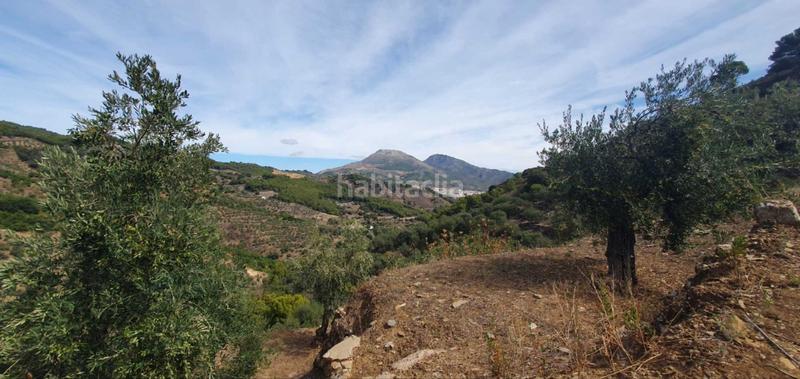 Foto a9793d6e-dda8-426e-aa02-222f6b6003c2. Terreno residenziale in Yunquera