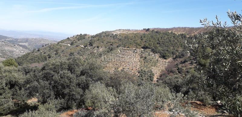 Foto b07856fc-2cae-4a86-b49c-c860e418b254. Terreno residenziale in Yunquera