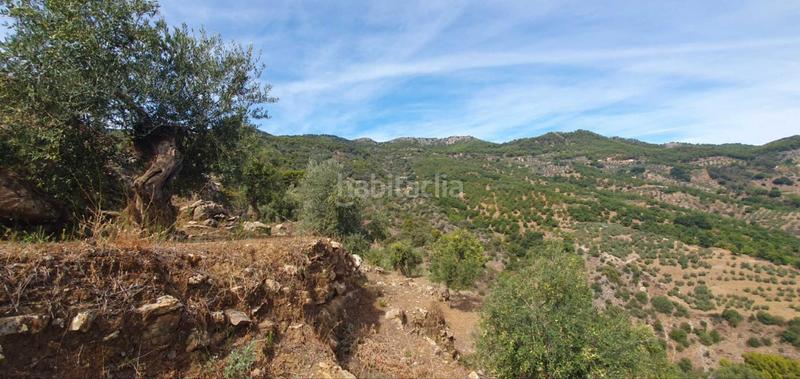 Foto bcfd2ba5-e095-47cb-92cd-9820680d1903. Terreno residenziale in Yunquera