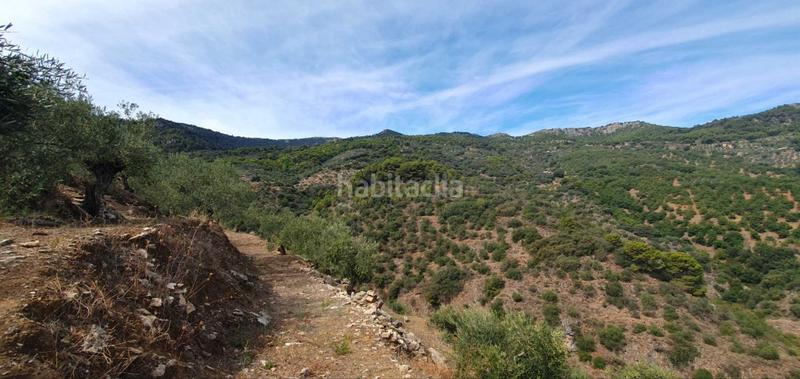 Foto c612a0a1-e9b2-4ee4-ab74-daac906bb937. Terreno residenziale in Yunquera