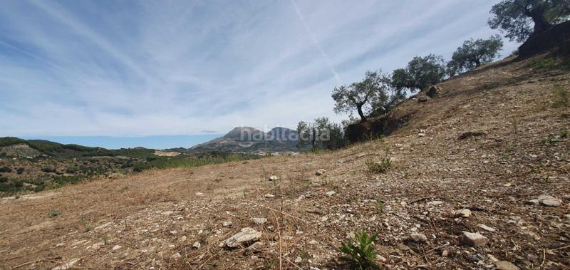 Foto c7deaddd-0a73-4f9e-aea2-f2428f12c758. Terreno residenziale in Yunquera