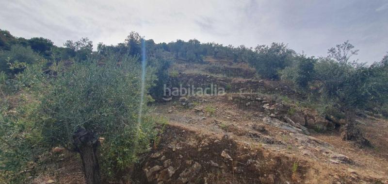 Foto cfa088aa-7e5e-4932-bbbc-d75f0c3a1574. Terreno residenziale in Yunquera