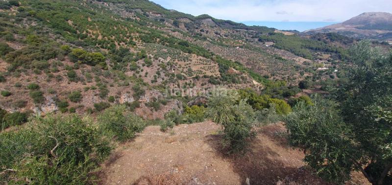 Foto cffd7e5e-a216-4663-a519-80479009ad14. Terreno residenziale in Yunquera