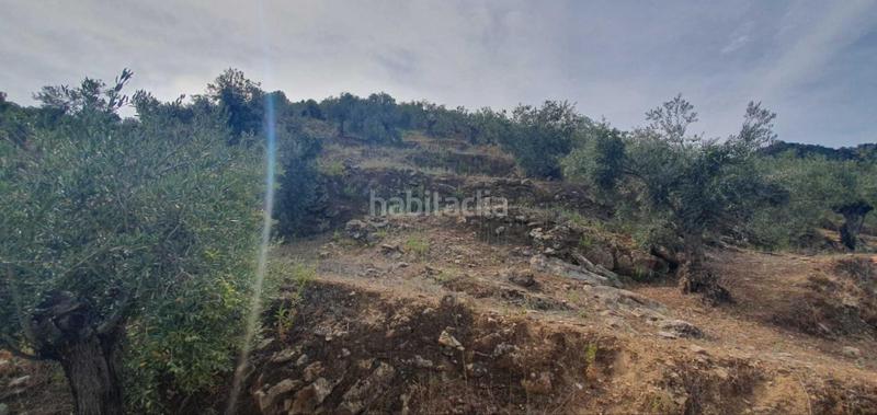 Foto def18143-ba12-4909-882e-68beb586e9d8. Terreno residenziale in Yunquera