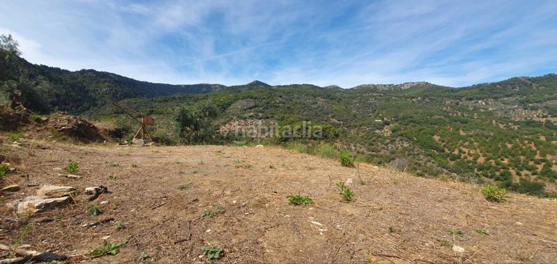 Foto ef33081f-5071-4a8f-ae55-1ca9fb5430bc. Terreno residenziale in Yunquera