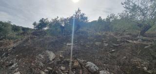 Terreny residencial a Yunquera. Finca rústica enclavada en el parque nacional de la sierra de la