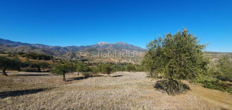 Foto 1bf41984-bf88-47a6-86b9-39d955e3de2d. Terreny residencial a Tolox