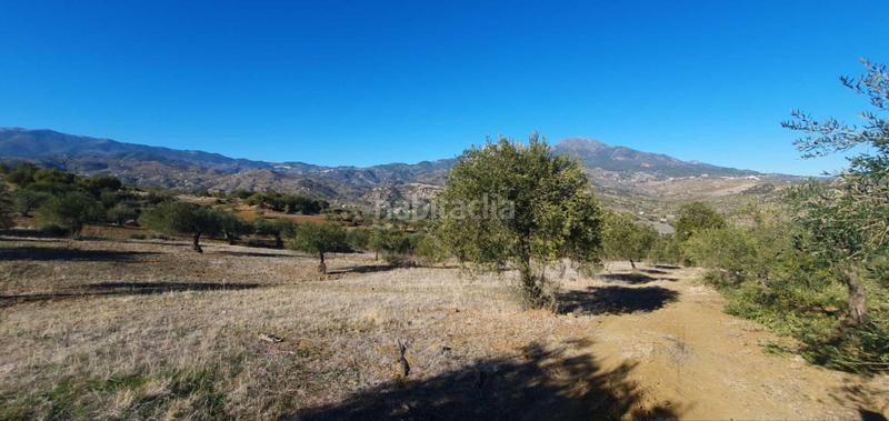 Foto 258ba7bf-3348-42e6-97fc-a049401d22a0. Terreny residencial a Tolox