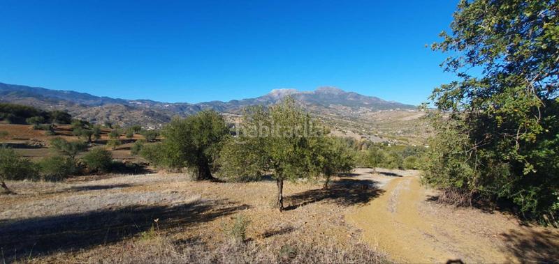 Foto 266e03c8-c418-4f2c-848a-14894e3f93a2. Terreny residencial a Tolox