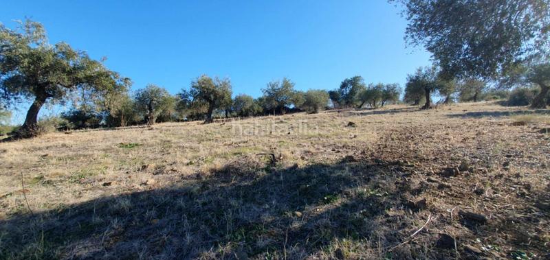 Foto 47573f92-309b-4a24-a873-edd5a664cfa1. Terreny residencial a Tolox