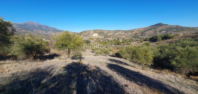 Foto 6119e0fb-68af-4f4e-8d1c-90599d8ede94. Terreny residencial a Tolox