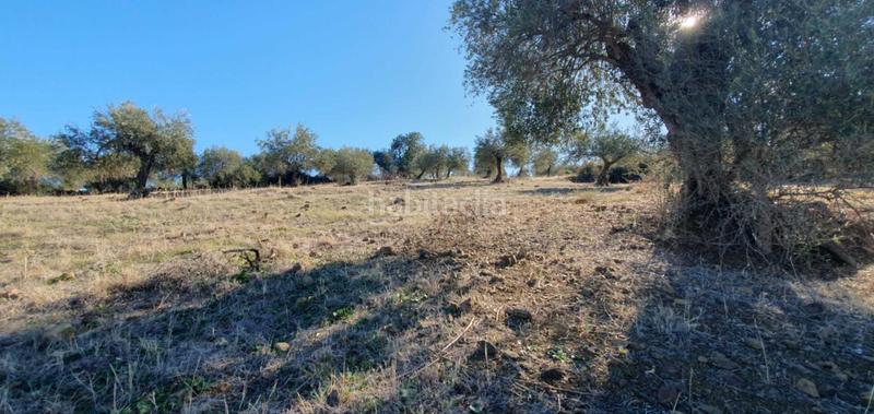 Foto 6b42ec0b-e01d-4bdf-beee-9955fce14d67. Terreny residencial a Tolox