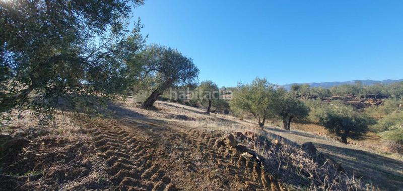 Foto 74530b4e-7961-4d5e-8c05-b871b04ada33. Terreny residencial a Tolox