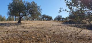 Terreny residencial a Tolox. Finca en tolox