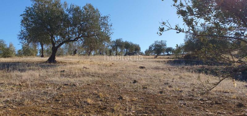 Foto 7756b414-91dd-4f25-b74c-5614d3218c0c. Terreny residencial a Tolox