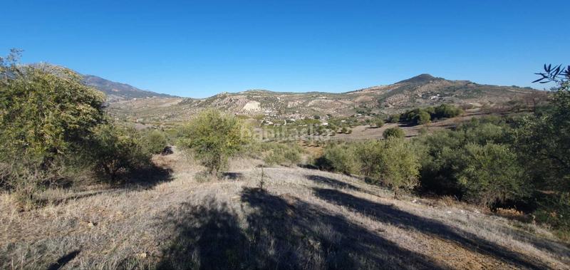 Foto 7fd8516b-eaa3-4880-a17f-cd43f3491ff4. Terreny residencial a Tolox