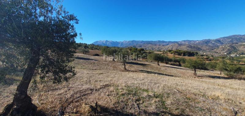 Foto 80e5824e-5ea6-4b9f-bdab-cca2ebe1480e. Terreny residencial a Tolox