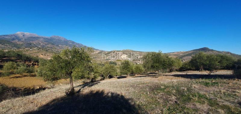 Foto 88a0d025-5b0e-4836-81c2-6e51f7b5829f. Terreny residencial a Tolox