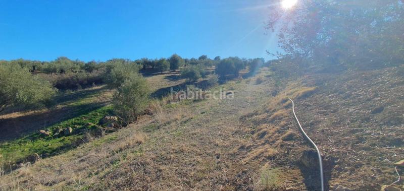 Foto 8d396666-b7cb-4c0f-af95-8a1dfc13000c. Terreny residencial a Tolox