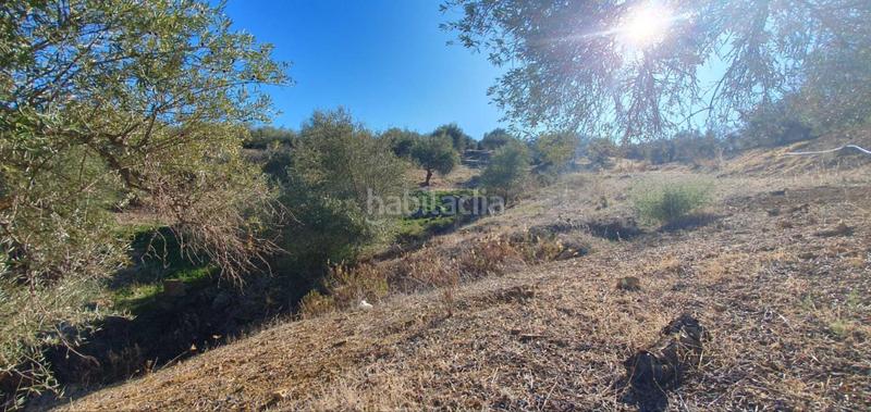 Foto a375d429-aa64-42e3-b904-c1c86761c04c. Terreny residencial a Tolox