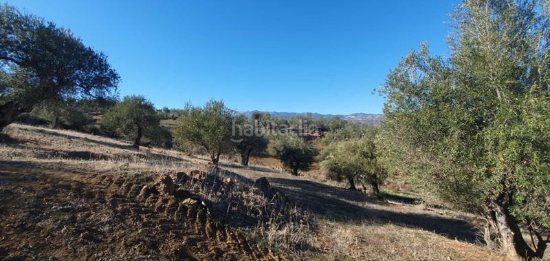 Foto c4154132-d2b8-4a84-8cc9-689bb21f39ff. Terreny residencial a Tolox