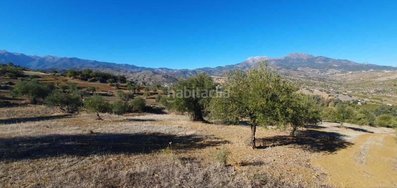 Foto c973953d-7ec5-49d3-a8ec-ee480a1a5804. Terreny residencial a Tolox