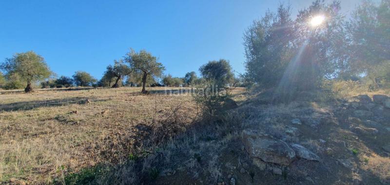 Foto da4c2287-b14e-4d5b-8dbf-c027816cf76d. Terreny residencial a Tolox