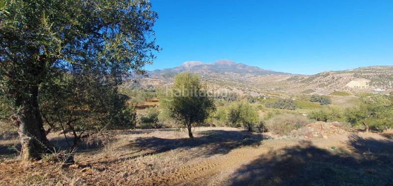 Foto e82009e0-b476-4c6e-942f-115b004817c9. Terreny residencial a Tolox