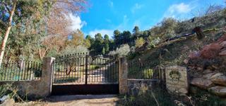 Masia a Burgo (El). Finca rústica con casa en el burgo