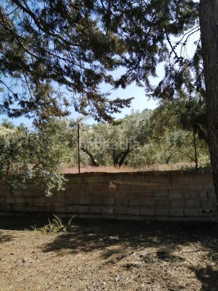 Foto 7ac2166d-170f-40a0-af2b-abd2824842d4. Mas avec parking piscine dans Huelma