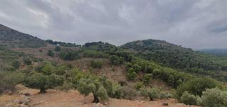 Terreny residencial a Yunquera. Finca rústica