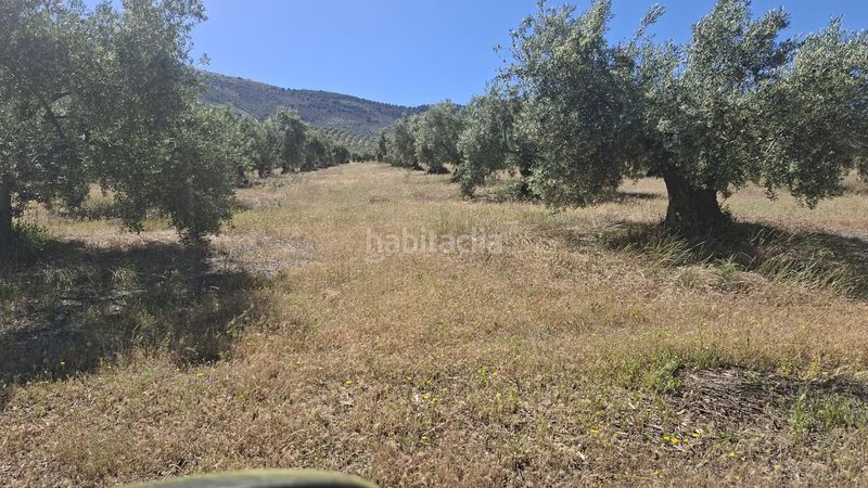 Foto 39f89b0e-f5b4-4a3e-9d3d-dc88655c9cf3. Finca rústica a Rois