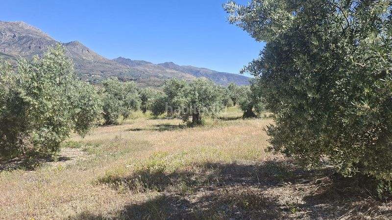 Foto 54dfae08-cbf7-4f43-80e8-9cd726119e21. Finca rústica a Rois