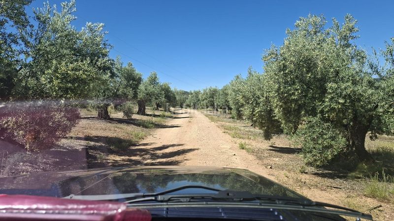 Foto d4c841ca-a0ac-4621-9327-ccccb6253fb0. Finca rústica a Rois