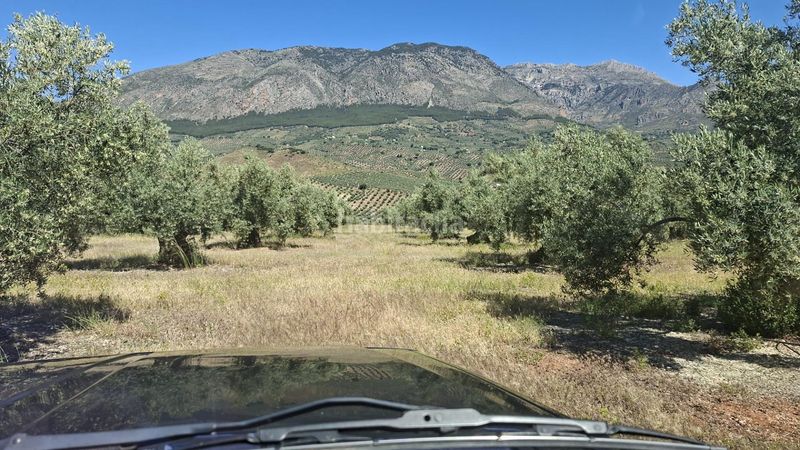 Foto f79ae196-9657-4ac6-9775-0791abe0cbc3. Finca rústica a Rois