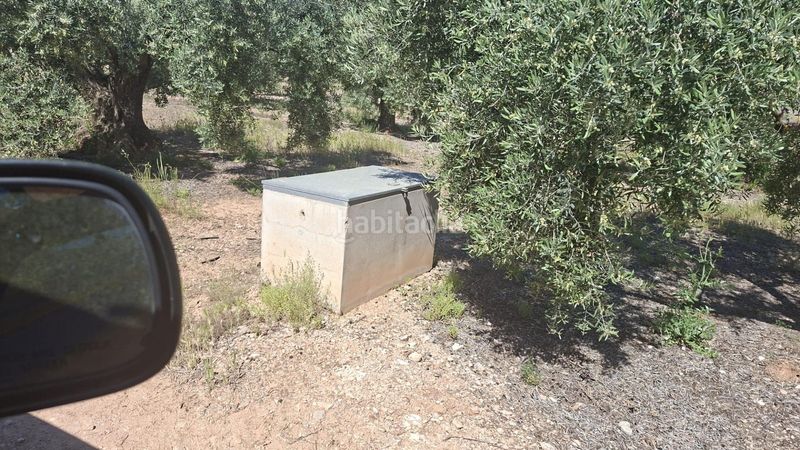 Foto fa2b0523-dc02-4465-8aab-1c7d4034b0ec. Finca rústica a Rois