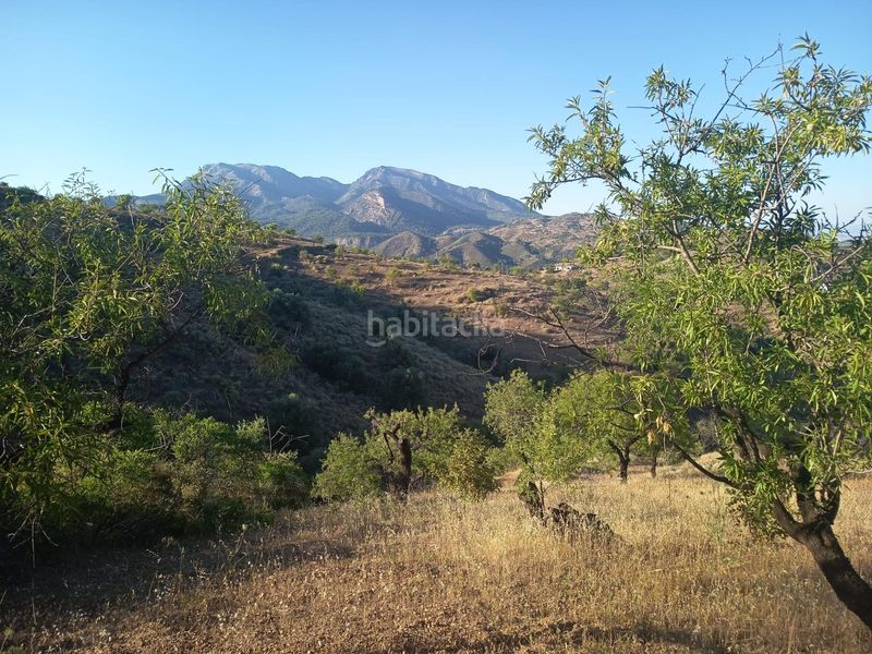Foto 70fb9d3e-4b69-4bbe-9d0c-81a2927e8d02. Finca rústica a Cortes-Huertas Madrid