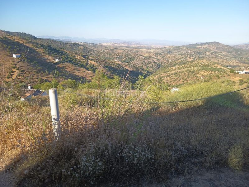 Foto aeb6a69b-9841-4c8b-845a-1e4726c41d8b. Finca rústica a Cortes-Huertas Madrid