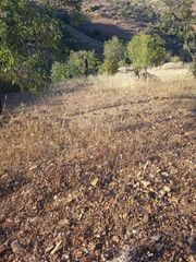Finca rústica a Cortes-Huertas