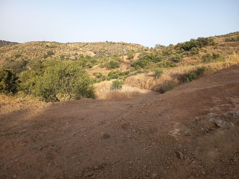 Foto 0588e87e-80e6-44ab-a3ed-1fa8a5e62351. Finca rústica a Tolox